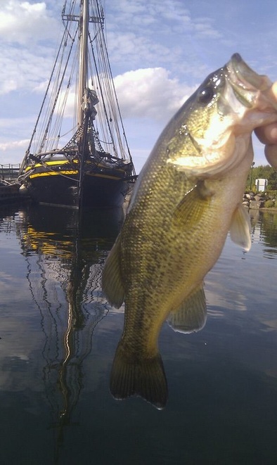 A great shot and a great catch from guests on their Honeymoon at the Rental Cottage Ontario. 